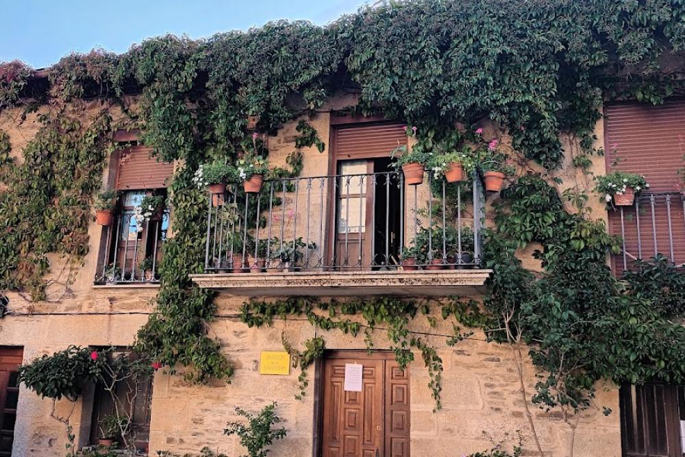 Registro de la Propiedad de Puebla de Sanabria | Consuelo Canella Díaz