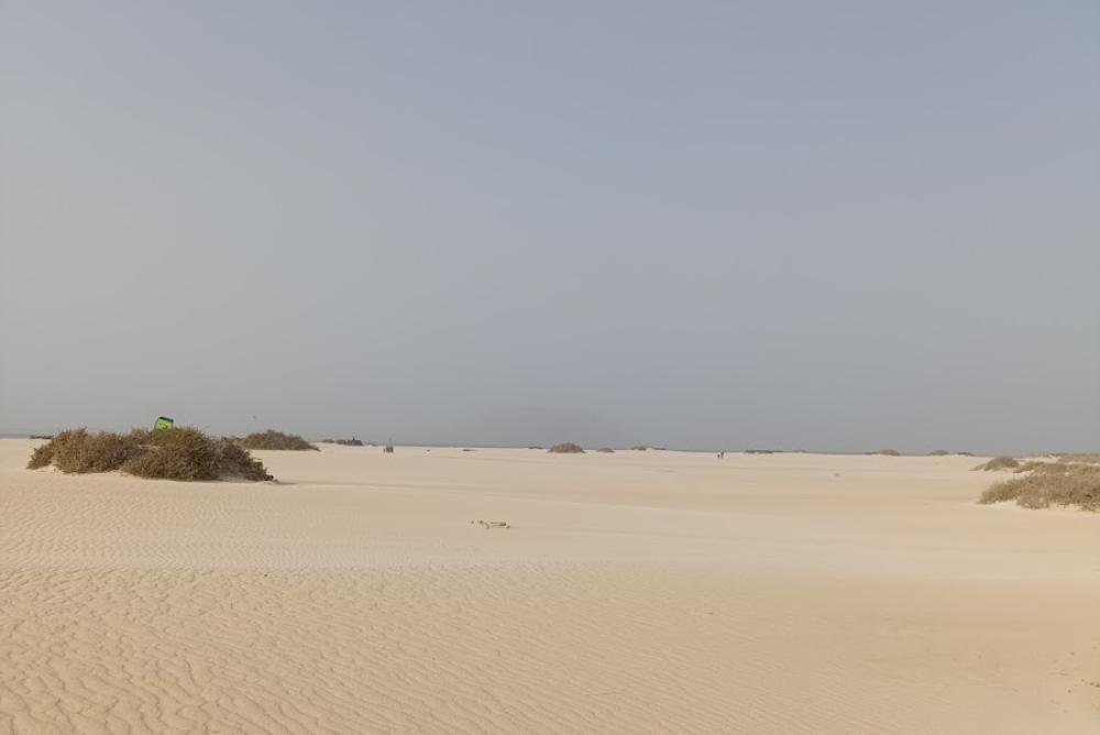 Registro de la Propiedad de Puerto del Rosario Nº 01 | Miguel Crespo González