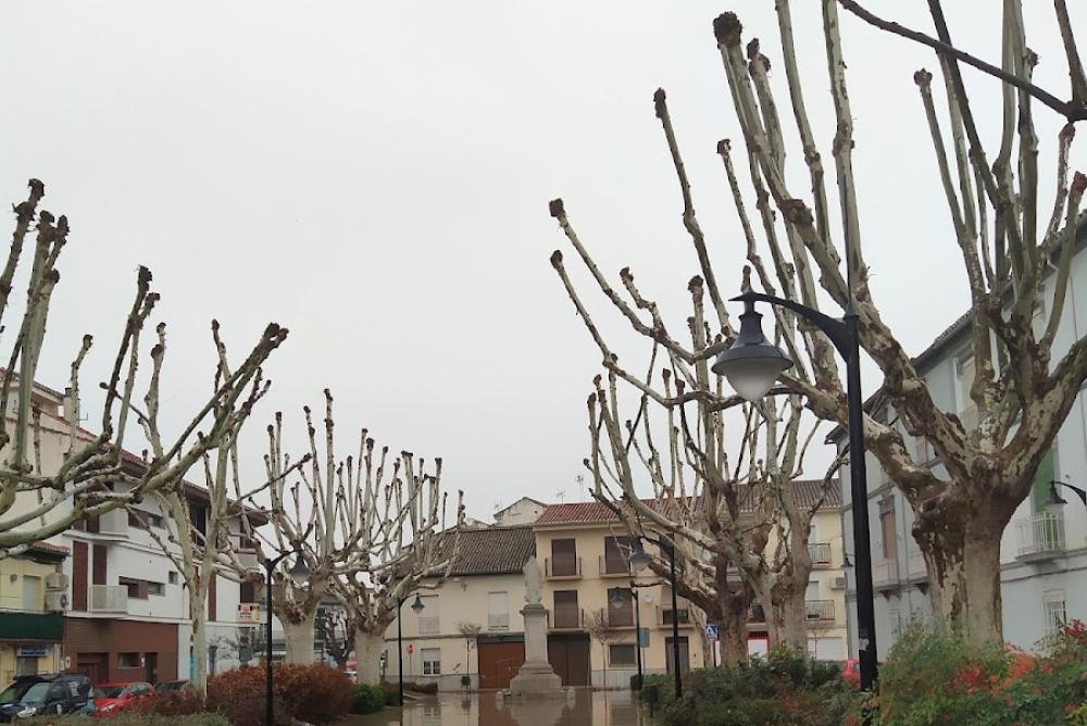 Registro de la Propiedad de Santa Fe Nº 01 | Alejandra María Pérez-Benavides Acuña