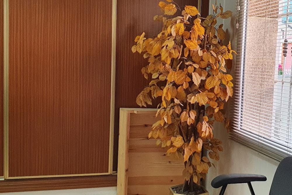 Registro de la Propiedad de La Unión Nº 01 | Alina Nica Gales