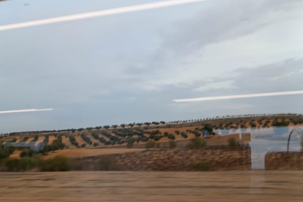 Registro de la Propiedad de Ocaña | Rafael Burgos Velasco