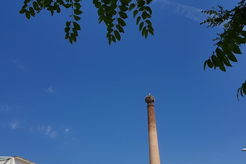 Registro de la Propiedad de Valdepeñas | Antonio Palacios Herruzo